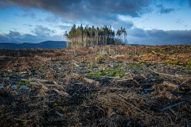 Carbon accounting for ESG professionals: measuring Scope 1, 2, and 3 emissions